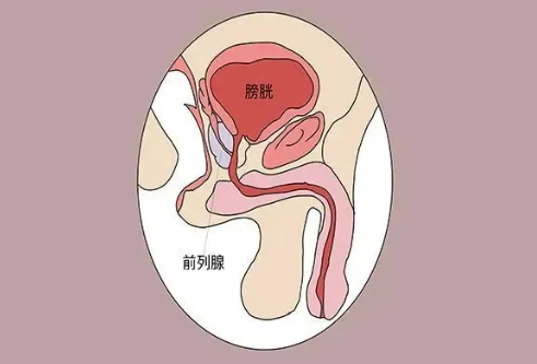 注意！縱欲和禁欲，最受傷的還是男人的這個器官！(圖1)